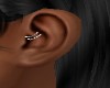 Silver Ear Piercings