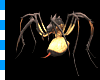 Demon Spider