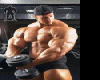 Hard Rock Muscles Resize