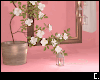 Pink Photoroom