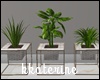 [kk] Apartment Plants2