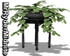 Office Plant Stand