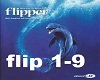 flipper theme