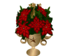 Christnas Poinsettia4