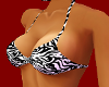 Sexy Zebra Bikini Top M