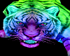 Anim Pet Tiger - Rainbow