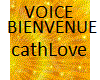voice bienvenue
