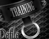 D* Training Collar