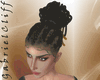 Black Dreadlocks Hairs