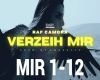 Camora Verzeih mir Remix