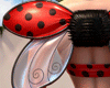ladybug wings