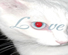 ৎ cat 3.0