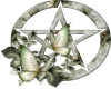 Pentagram green butterfl