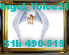 Angel_Voice20