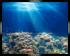 Under the Sea II