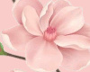 Pink Flowers Cutout