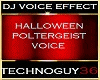 DJ VOICE POLTERGEIST [EP
