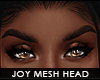 ! joy v.2 mesh head | t6