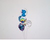 Stitch Balloon