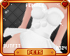[Pets] Winter | White