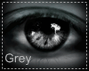 Gray eyes