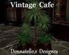 vintage cafe plant