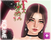 Christmas Mistletoe Kiss