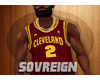  Kyrie Irving Jersey