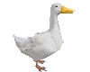 ! #Anim8d Duck