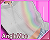 AM* Rainbow Sweater