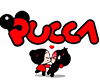 TOP pucca