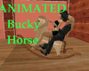 Bucky The Horse