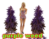 Purple Weed Plant