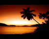 (RB71)-Sunset_Palm_Ocean