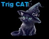DJ Light CAT Halloween