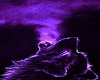 PURPLE WOLF PICTURE 2