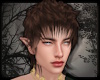 +Helios Hair - steam