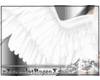 BL Angelical Wings
