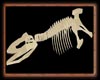 Dinosaurs Skeleton v2