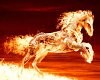 Flaming Horse 3