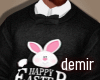 [D] Easter sweater&shirt