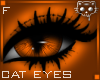 Orange Eyes F1a Ⓚ