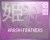 `N Arashi FallingFeather