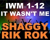 𝄞 Shaggy - It Wasn't