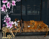 [S] Sunrise Sofa + Tiger