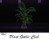 Plant Gothic Club
