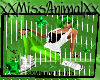 Miss Animal wall PIC