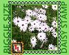 daisy stamp