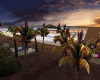 ~Z~ Sunset Beach 