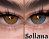 S::.. Eyes 2T Honey/Blue